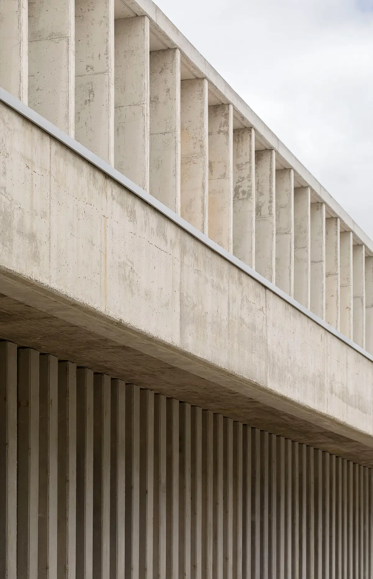 Colegio Público Malpartida de Cáceres